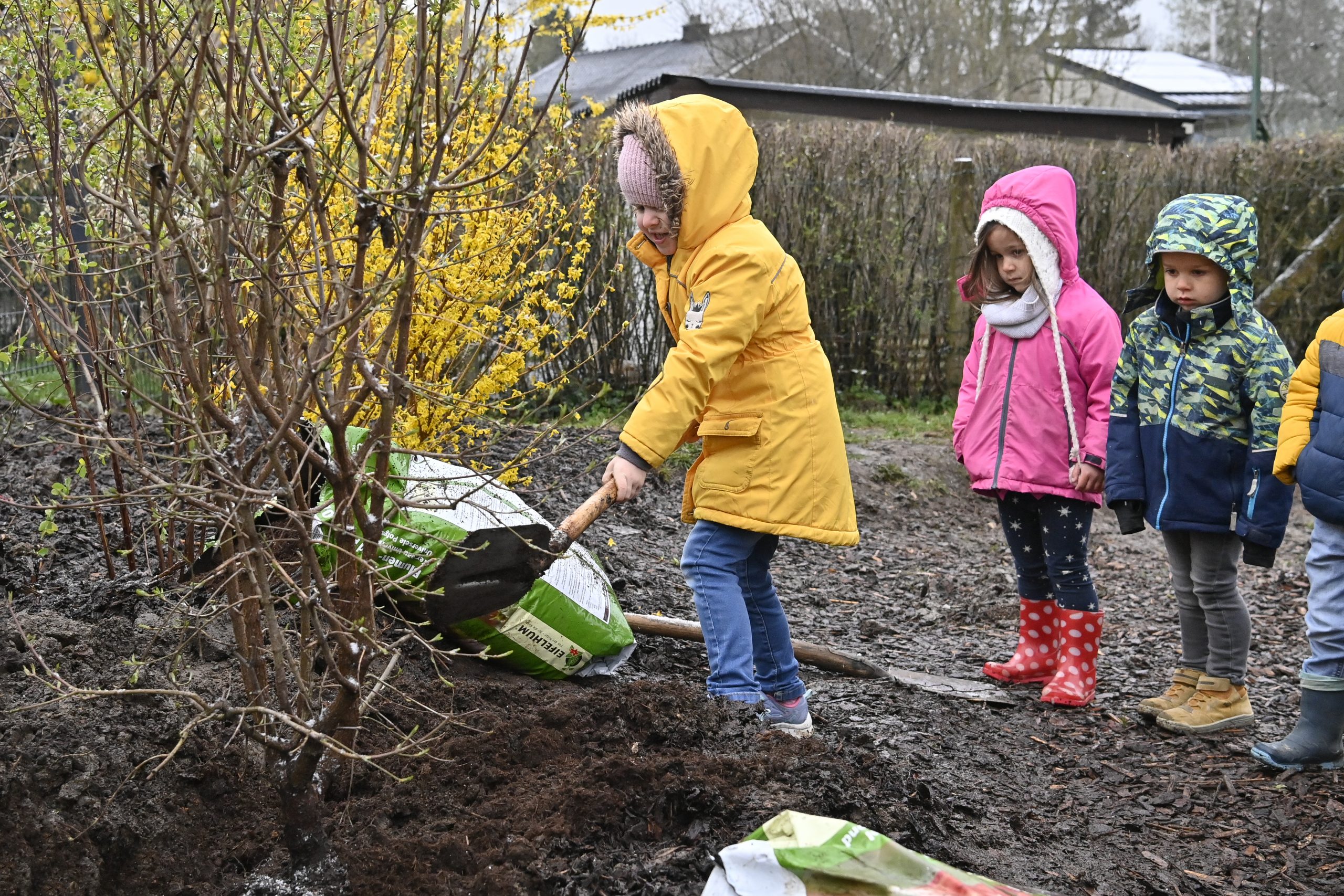 Foto: David Hagemann